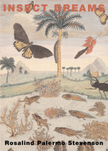 Insect Dreams