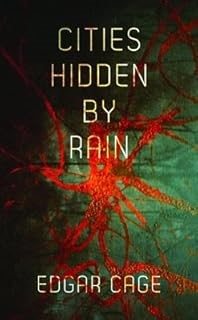 Cities Hidden by Rain