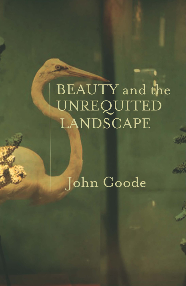 Beauty and the Unrequited Landscape