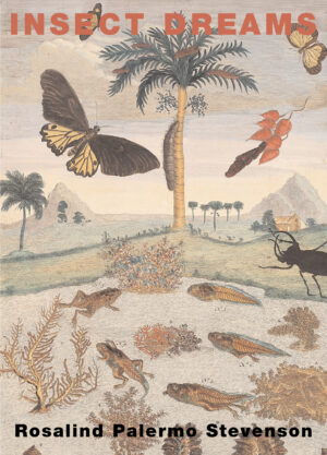 Insect Dreams